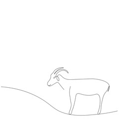 Goat farm animal line drawing. Vector illustration