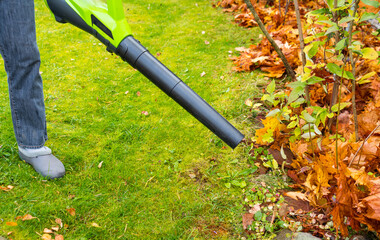 A gardener with an air blower in his hand clears the green lawn from maple leaves in autumn