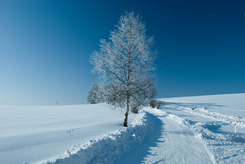 Czech landscape in winter