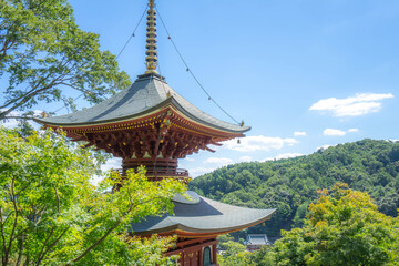 勝尾寺