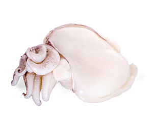 Fresh squid an isolated on white background with clipping path.