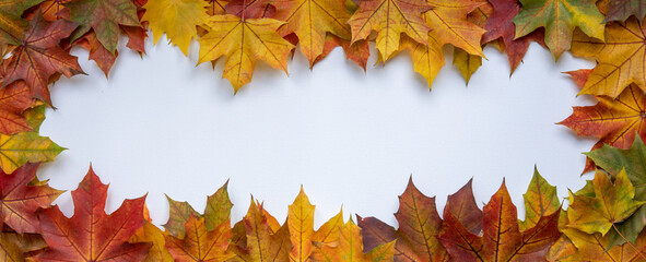 Autumnal frame with colourful maple leaves around blank white space to insert text.