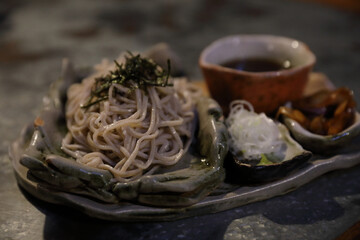 cold Soba noodle japanese food