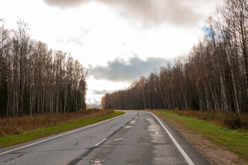 Country road among the forest, leading into the distance.