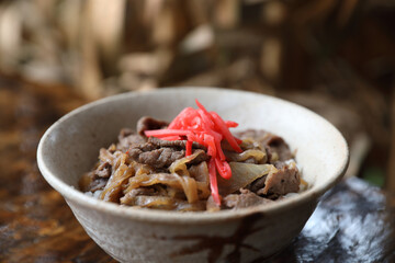 Gyudon Japanese beef rice bowl in close up Japanese local food