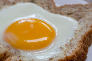 Fried Egg on wholewheat or Wholegrain Toast for Breakfast. Fried sunny side up egg with bread on a plate 