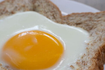 Fried Egg on wholewheat or Wholegrain Toast for Breakfast. Fried sunny side up egg with bread on a plate 