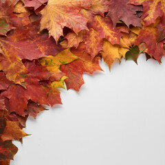 Border frame of colorful autumn leaves isolated on white background. Autumn, fall, thanksgiving day, nature concept. Flat lay, top view, copy space.