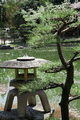 石灯籠と松の木