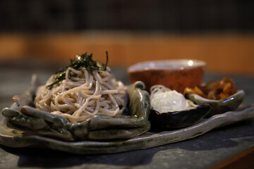 cold Soba noodle japanese food