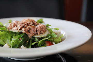 Tuna salad appetizer on wood background