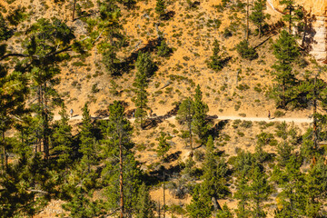  Hiking trail in Bryce Canyon National Park, aerial view