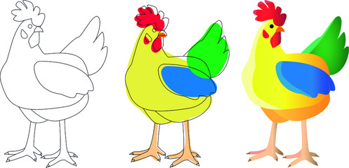 hen or cock colour and black and white