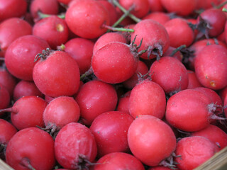 scattering of red hawthorn berries lie in a basket