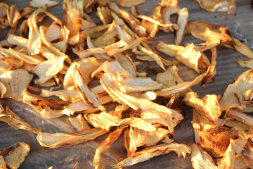 Dried onion slices