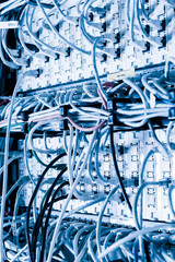 ethernet cables connected to server switch