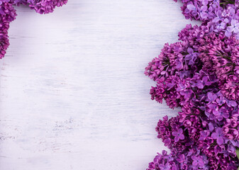 Beautiful purple lilac flowers. Macro photo of lilac spring flowers. Floral background.