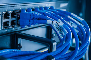 blue ethernet cables connected to switch