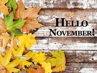 Naklejka na ściany i meble Hello November Sign with Colorful Autumn Leaves