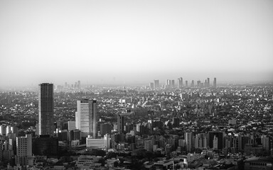 Monochrome Tokyo