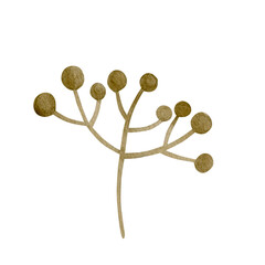 Watercolor illustration of an autumn branch isolated on a white background.