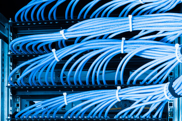large group of UTP cables, Ethernet cables in rack cabinet, lead