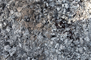 Texture embers closeup. Embers after a fire.