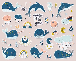 Keuken spatwand met foto Hemelse walvissen, dolfijnen en narwal stickers collectie. © nafanya241