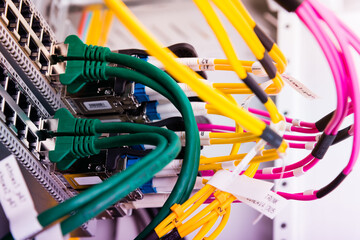 Fiber Optic cables connected to optic ports, network cables conn