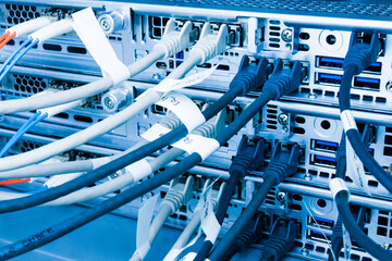 Fiber Optic cables connected to optic ports, network cables conn