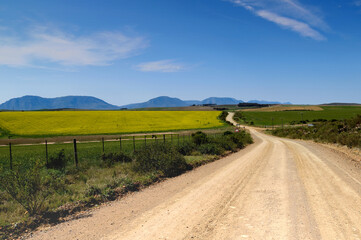 Fototapeta na wymiar Conola Fields in the Western Cape