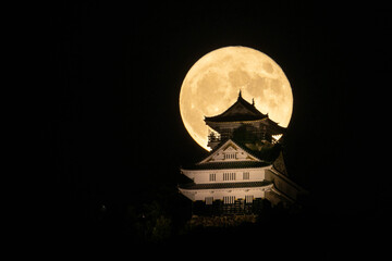 月 © shonen