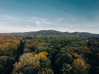 autumn landscape in the mountains, aerial view of forest and high voltage cable through the forest