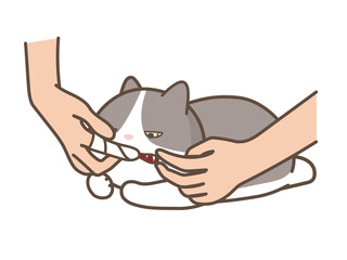 指にガーゼを巻き付けて猫の歯を掃除する