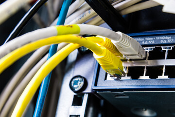 ethernet cables connected to server switch