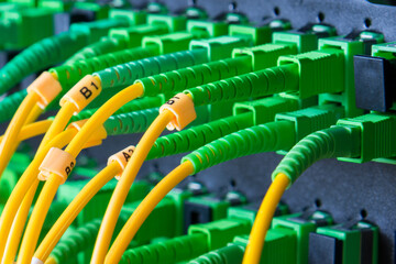 fiber optic cables connected into main data switch