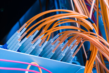 fiber optic cables connected into main data switch