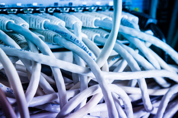 close-up of ethernet cables and switch