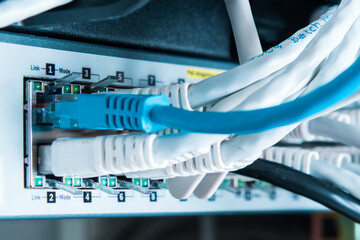 patch cables connected to data router