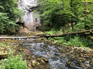 The bed of the river Rak with a canyon and limestone rocks, Cerknica - Notranjska Regional Park,...