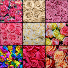 Beautiful collage of flowers. Close up.