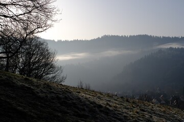 morning mist over the black forest - 386855655