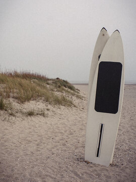 Surfbretter Insel Amrum 