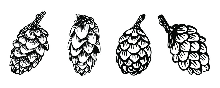 Picter Vectorised Vectorised Images – Browse 2,530 Stock Photos, Vectors, and Video ...