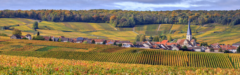 Champagne, the vineyards around Chamery