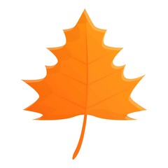 Black maple leaf icon. Cartoon of black maple leaf vector icon for web design isolated on white background
