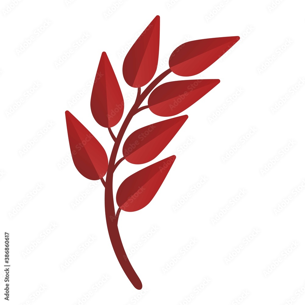 Poster ash tree leaf icon. cartoon of ash tree leaf vector icon for web design isolated on white background