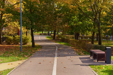 Paved road in the Park,divided by markings on the Bicycle and pedestrian parts.