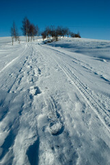 Fototapeta na wymiar path in winter