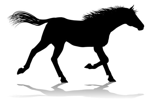 A horse animal detailed silhouette graphic